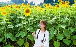 月嫂先生剧情介绍